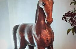 Astar Civita - Foto 17