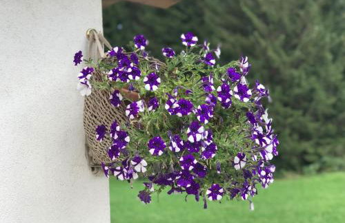 Appartamento al Tabià Pizal - Photo 20