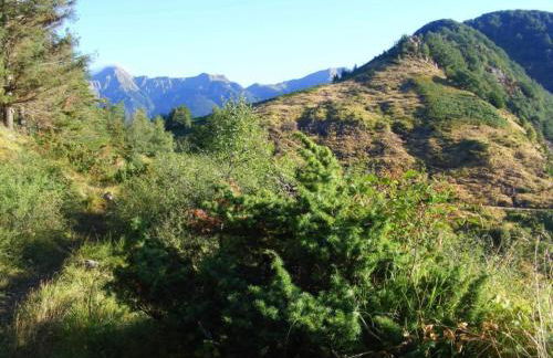 Idyllic Stay With Charm - Foto 70