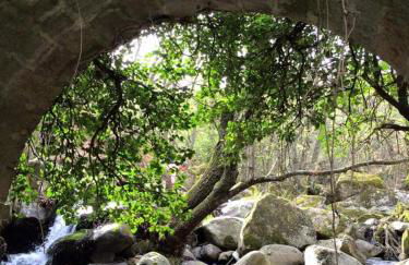 AT Rural NAVALINDA - Foto 29