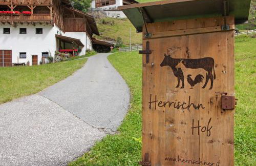 Herrischner Apartement 1 - Photo 20