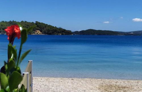 Villa Arktos - Foto 12