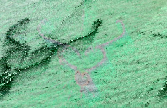 Casa Mar - Taipu de Fora - Photo 53