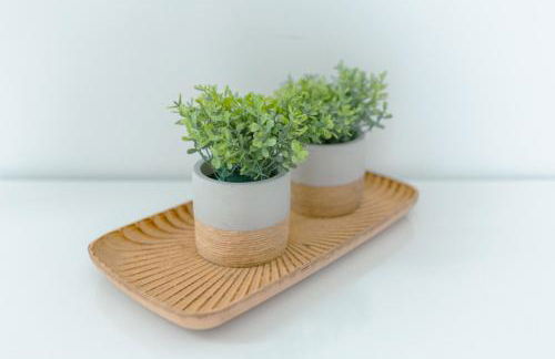 Antiga adega - Foto 22