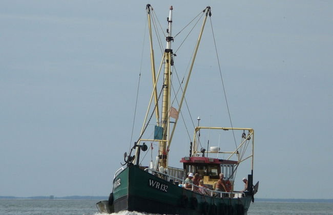 Cozy Chalet With Spacious Garden on a Holiday Park - Foto 25