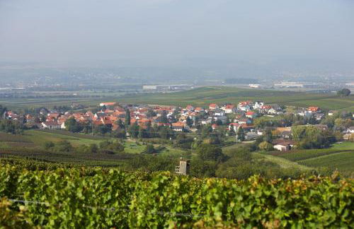 Ferienwohnungen im Weingut Huff-Doll - Foto 35