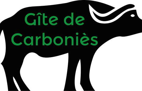 Gite de Carboniès - Photo 15