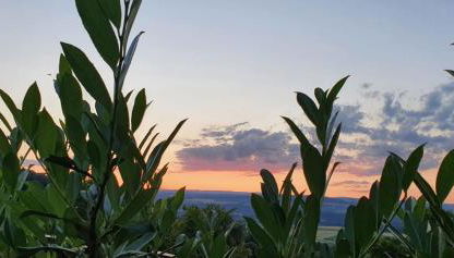 Ferienwohnung-Panoramablick-Küssaberg - Foto 5
