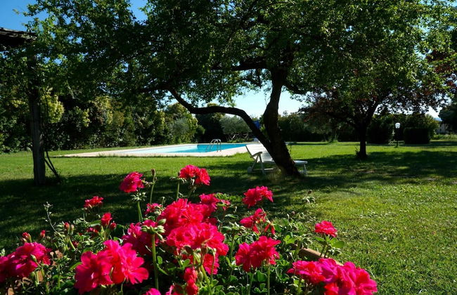 Villa La Contessa - Villa La Contessa - Photo 18