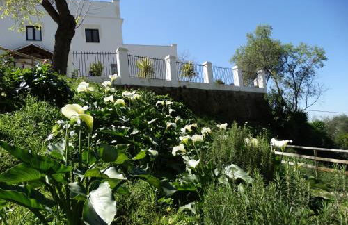 Alojamiento Rural El Lario - Foto 10