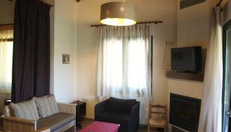 Morchella MushROOM - Foto 5