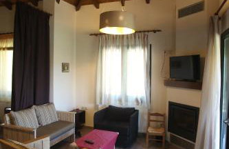 Morchella MushROOM - Foto 5