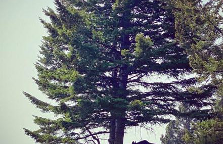 Jackson Hole Ski Condo Yellowstone Grand Teton - Foto 25