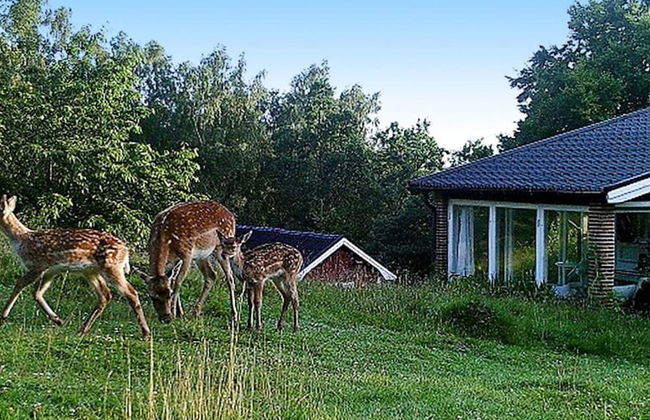 4 Person Holiday Home in Veberod-by Traum - Foto 12