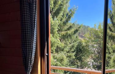 Aux trois marmottes - Chalet au pied des pistes - Foto 29