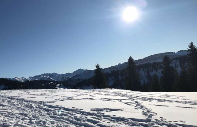 Pleasant Apartment in Fischen - Photo 17