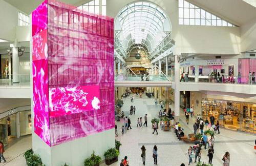 Arden Family Home BBQ Big Kitchen Backyard Pet W/D - Photo 49