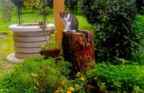 Il Giardino del sole - Foto 126