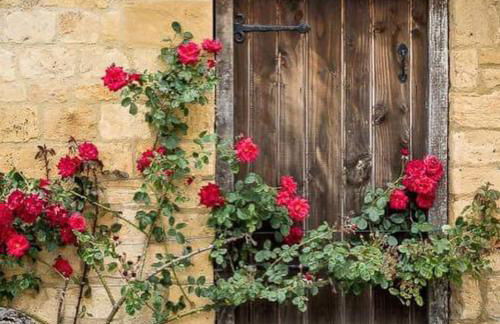 Groves Barn at Norton Grounds - Photo 31