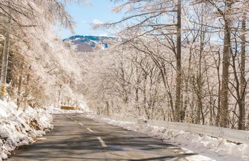 Mountain Lodge T3 Duplex Abrigo do Lobo - Foto 16