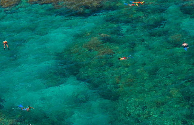 Snorkel en Cayo Hueso - Foto 6