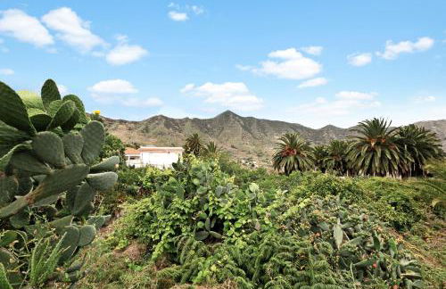 El Portillo 1 - Foto 29