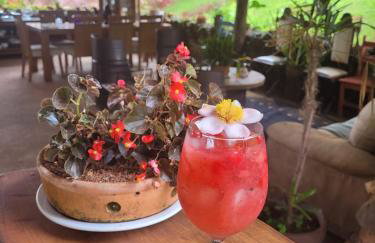 Pousada Suçuarana - Photo 48