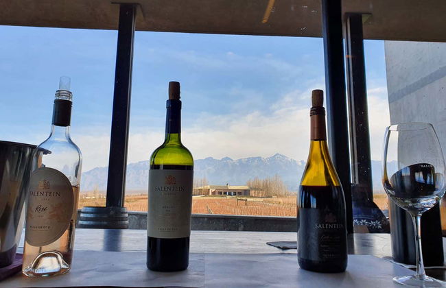 Tour pelo norte da região vitivinícola do Vale do Uco - Foto 6