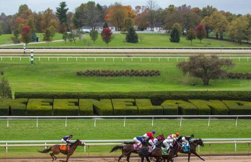 Bourbon Trail Duplex~ HOT TUB~ Walk to Downtown - Foto 50