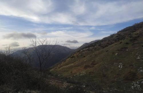 CASA LINA citra 010031-LT-0009 - Foto 32