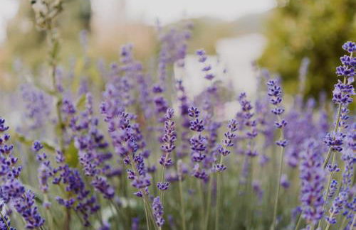 Holiday Home Wonderland with private Spa/Wellness - Foto 21