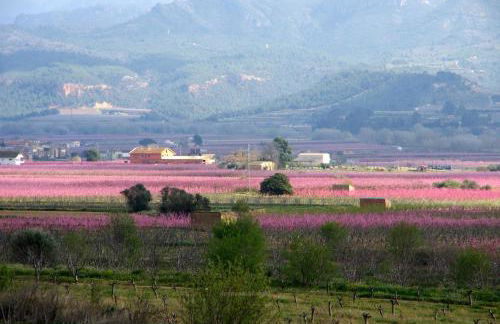 La Ultima Casa Masboquera - Foto 68