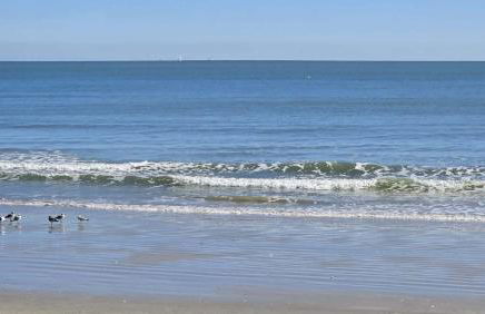 Royal Mansions Beach Front Vacation - Foto 39