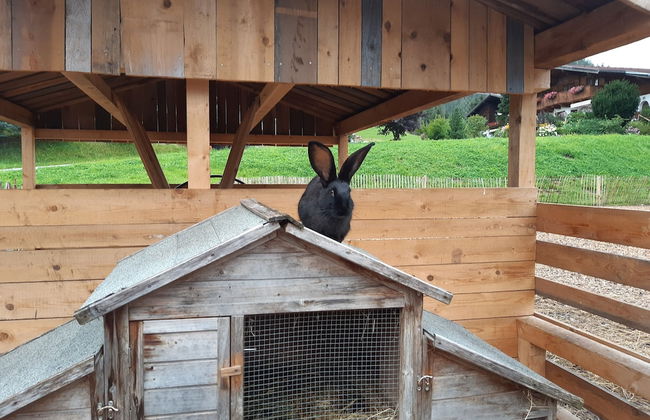 Gut Vögeihof - Foto 23