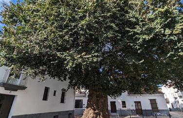 Casa Maricolilla - Foto 77