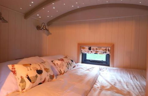 Shepherd's Hut- Hot Tub- Wellness Spa- Wood Burner - Foto 15