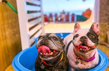 Casa com pes na areia em Iriri - ES - Foto 15