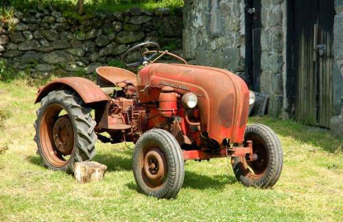 Derwin-Fawr - Photo 16