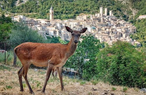 Le stanze di NinFa - Foto 18