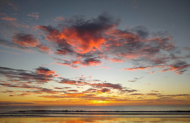 Palm Beach Inn - Foto 24