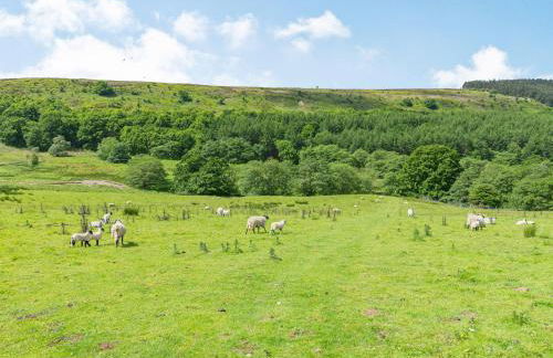 The Wheel House - Foto 30