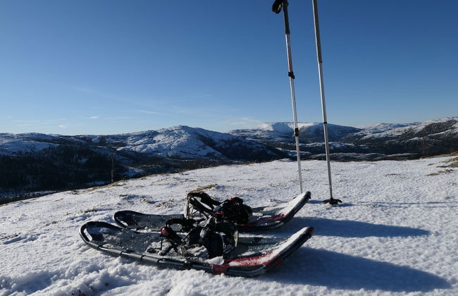 Velfjord camping & hytter - Foto 58