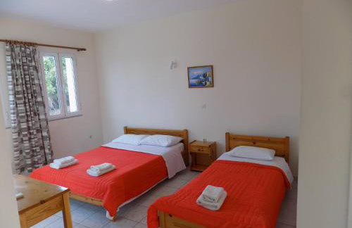 JERRY'S STUDIOS LASSI - Photo 23