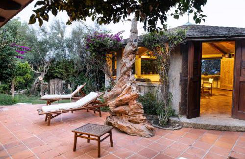 La Muette Cachée - Charming House by the Sea - Foto 16