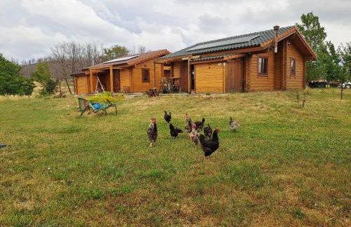 Timber Dream - Photo 39