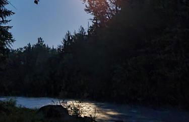 Tony's Riverside Oasis - Foto 32