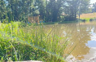 Gîte neuf avec jardin, forêt et étang - Foto 13