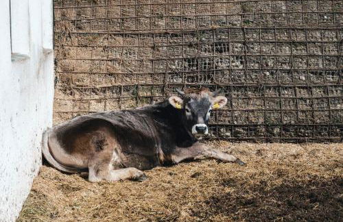 Sartu Apartments - Foto 47