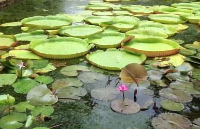 Thalassa Residence - Photo 18