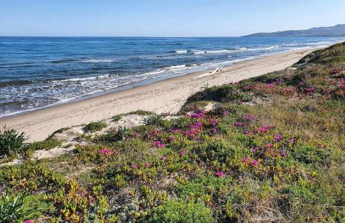 Sa domo de ziu Pedru - Foto 26